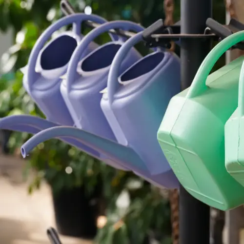 watering cans gardening tips