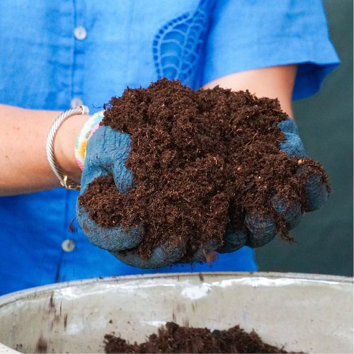 August Gardening Tips: 5 Essential Ways to Care for Your Garden