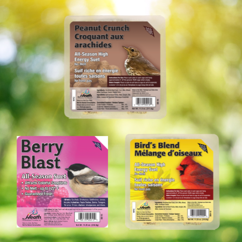 Heath® Crafted Suet Cakes | Calloway's Nursery