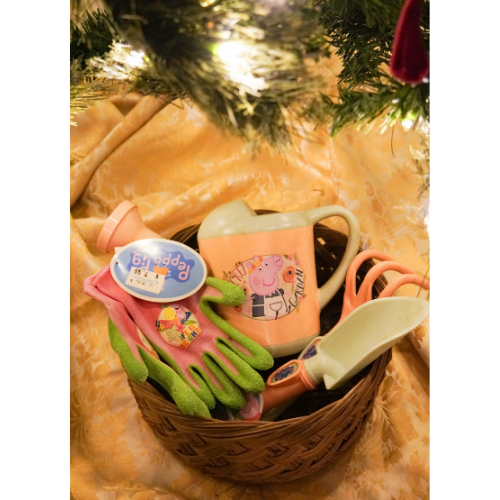 chimenea and pinion wood