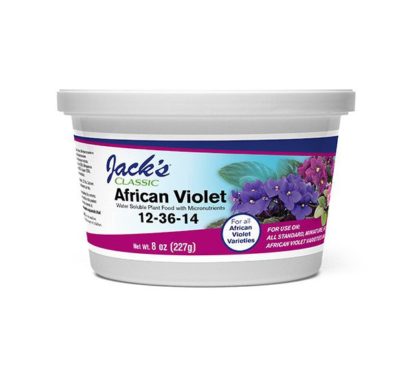 Jack’s® Classic African Violet