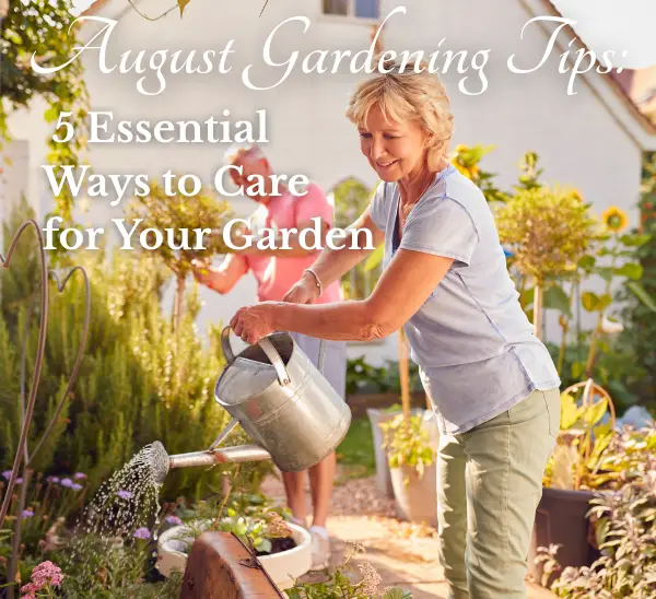 August Gardening Tips: 5 Essential Ways to Care for Your Garden