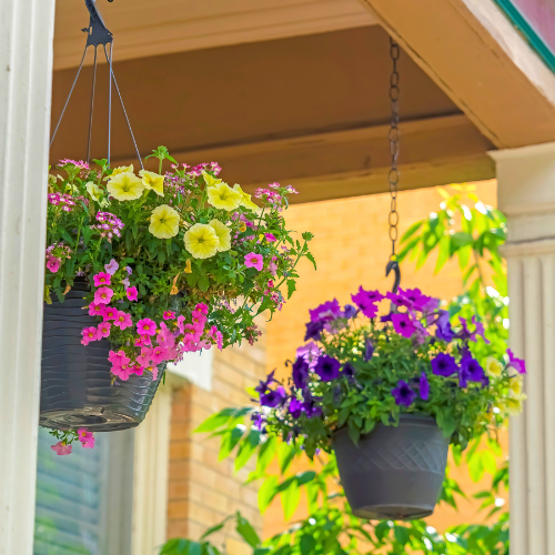 potting soil in hanging basket