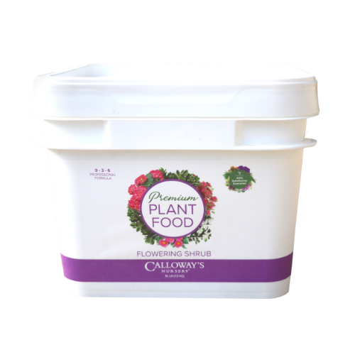 calloway's premium flowering shrub plant food