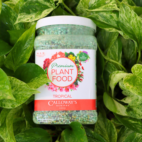 calloway's tropical plant food