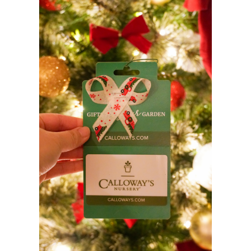 kids gardening tools