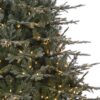 Flocked Brighton Spruce 9' Clear LED
