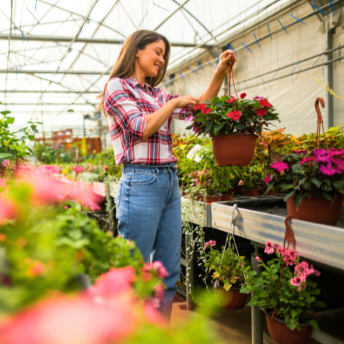 potting soil in hanging basket
