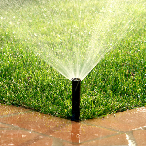 watering