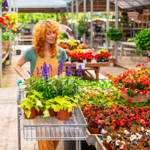 August Gardening Tips: 5 Essential Ways to Care for Your Garden