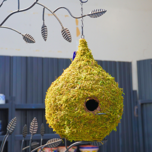 Natural Bird House to Support Wild Birds at Home | Calloway's Nursery