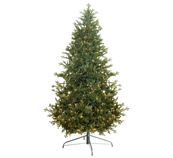 Jamestown Fir 9' Clear Lights