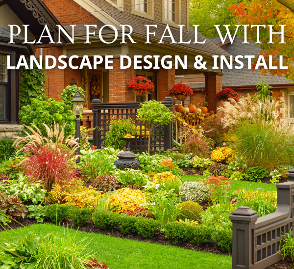 Plan for Fall with Landscape Design & Install