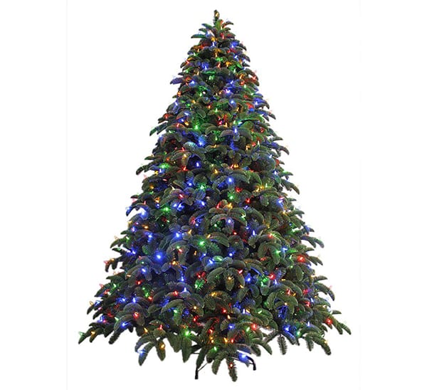 Grand Noble Fir 9' Multi Lights