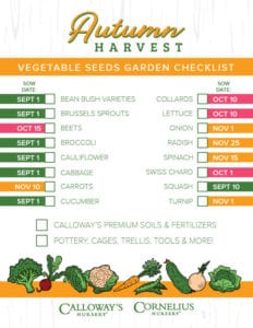 vegetable seeds