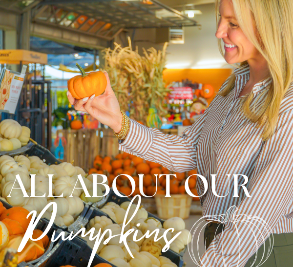 "Woman in striped shirt holding a small orange pumpkin with 'All About Our Pumpkins' text at a market.