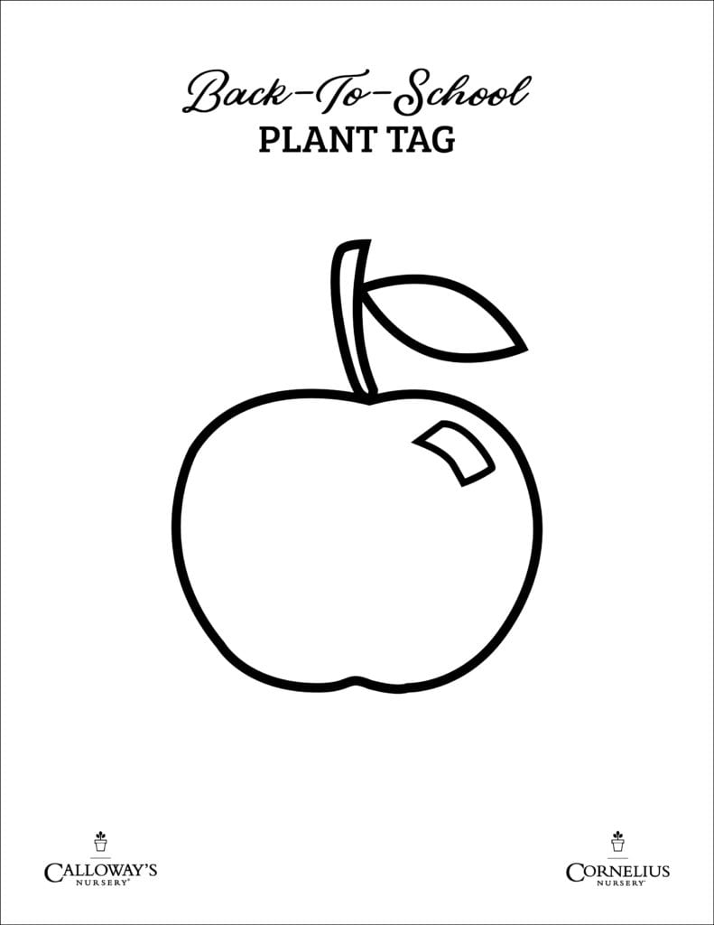back to school plant tag