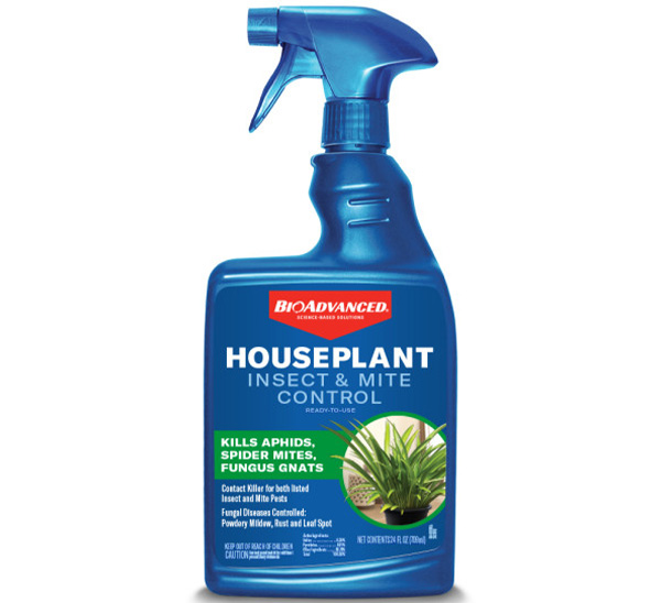 BioAdvanced® Houseplant Insect & Mite Control
