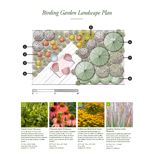 Birding Landscape Plans
