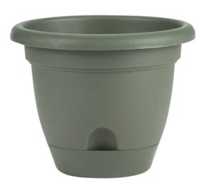 Bloem® Lucca Planter 6 in