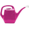 Classic Watering Can