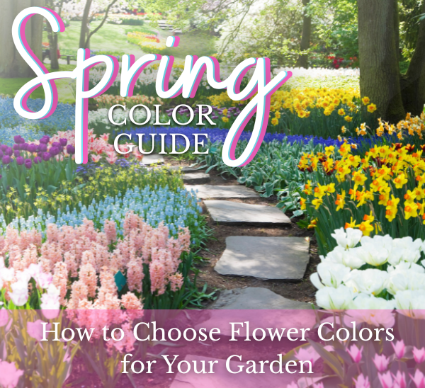 Spring Color Guide