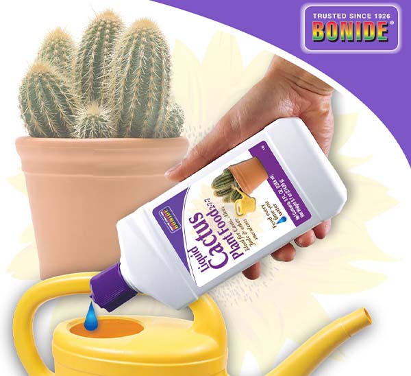 Bonide Cactus Liquid Plant Food | Calloway's Nursery