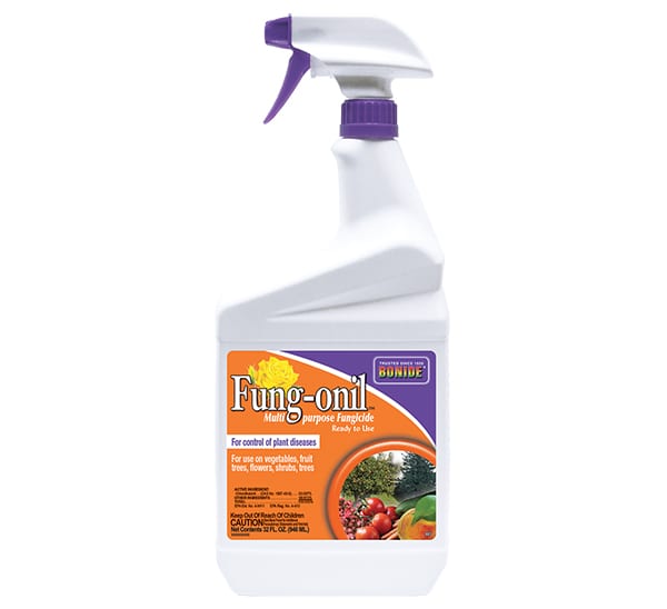 Bonide® Fung-onil™ Multi-purpose Fungicide RTU