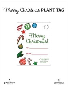 merry christmas plant tag
