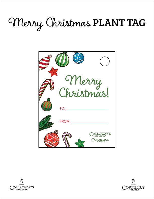merry christmas plant tag