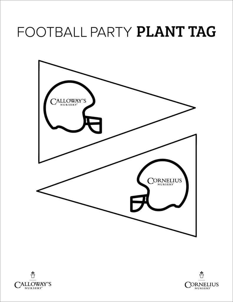 football party plant tags