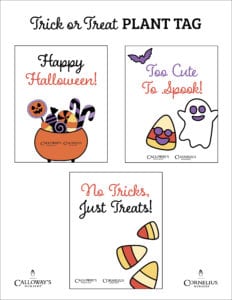 trick or treat plant tag