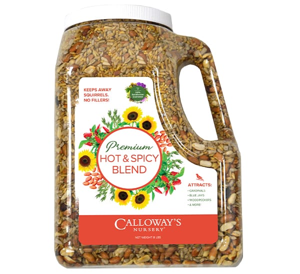 Calloway’s Premium Hot & Spicy Blend