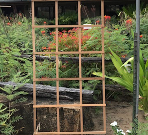 Cedar Trellis