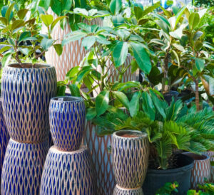Ceramic Pottery