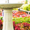 Birdbaths