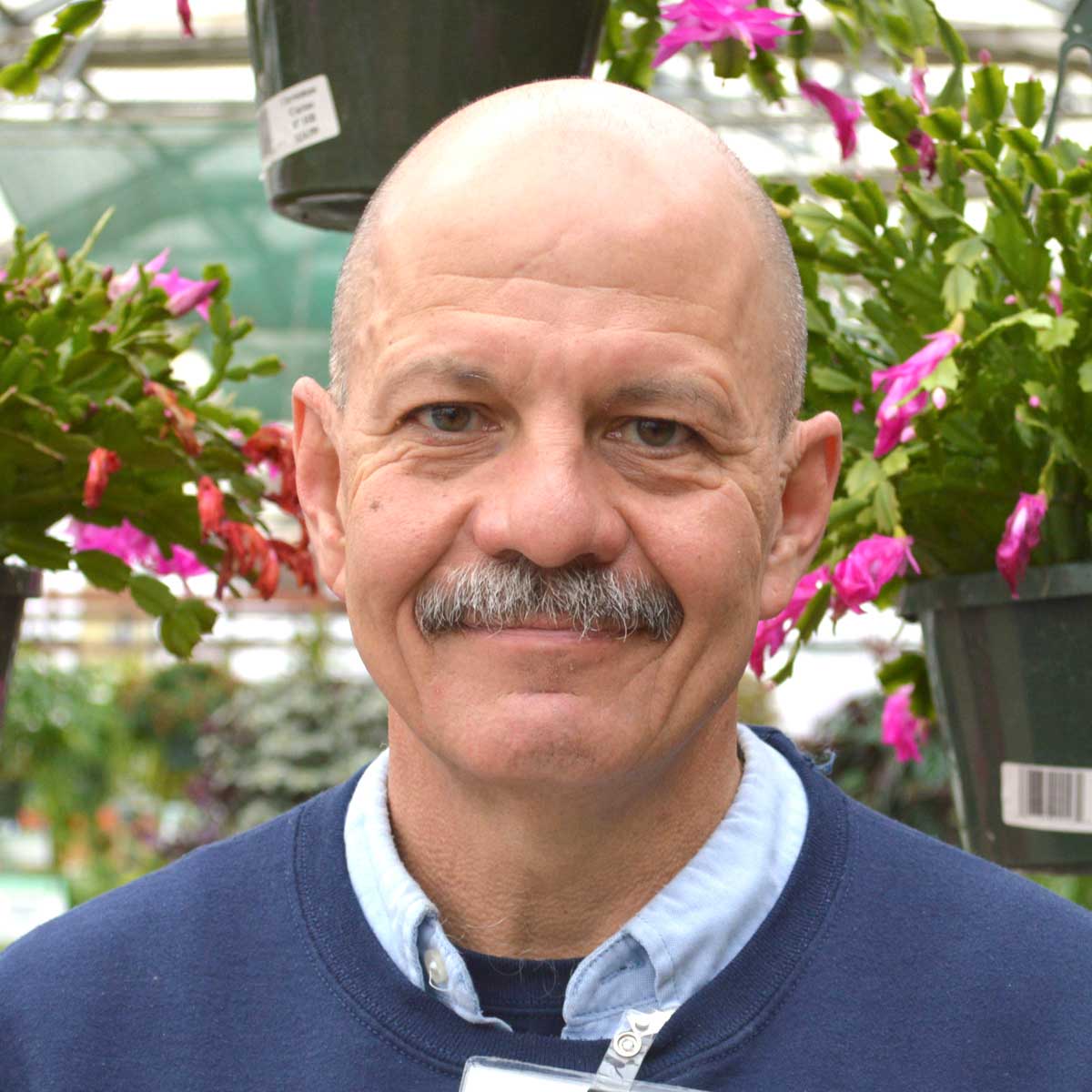 Photograph of a store employee