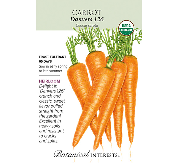 Danvers 126 Carrot Seeds