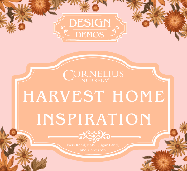 Harvest Home Inspiration: Fall Décor Demo