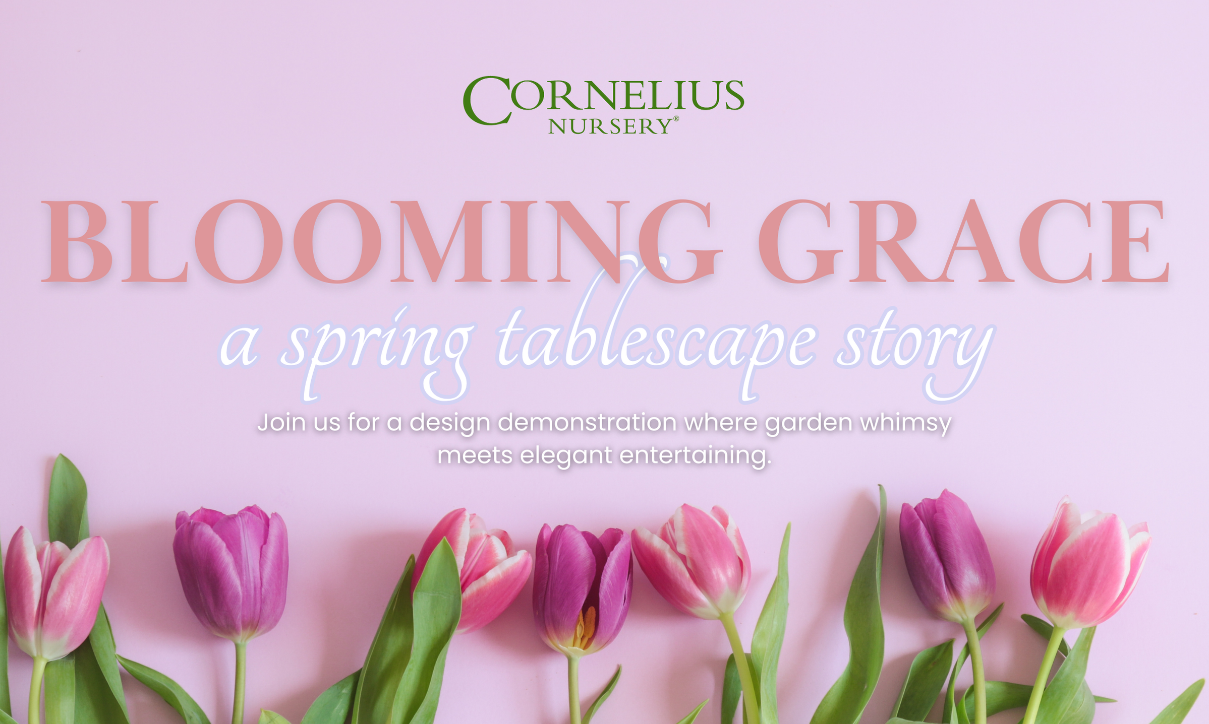 Blooming Grace: A Spring Tablescape Story