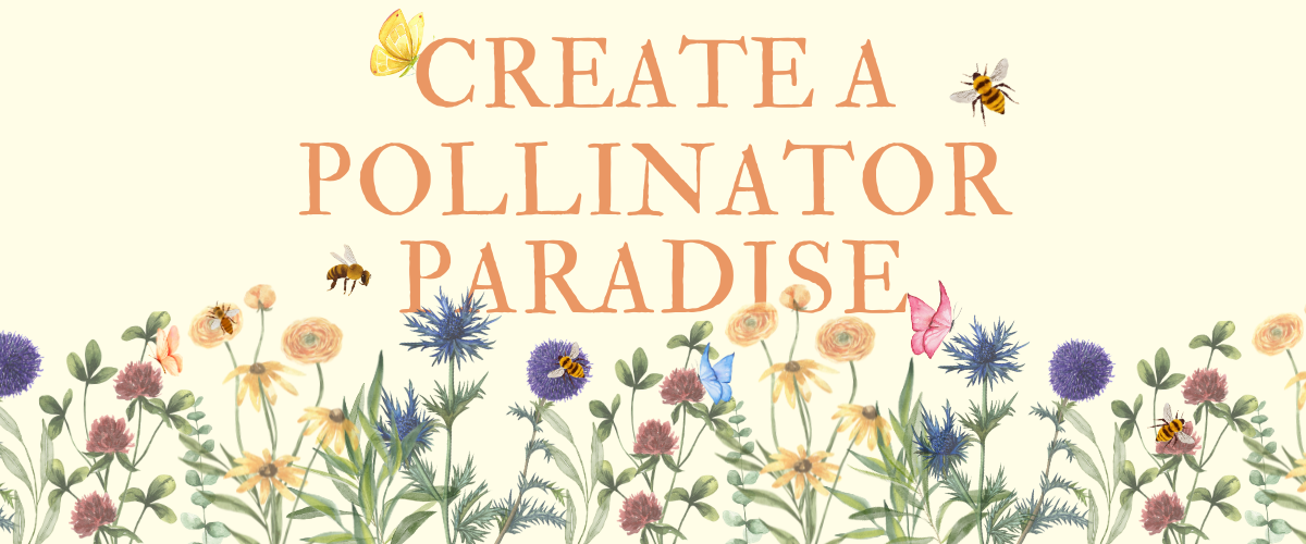 Create a Pollinator Paradise