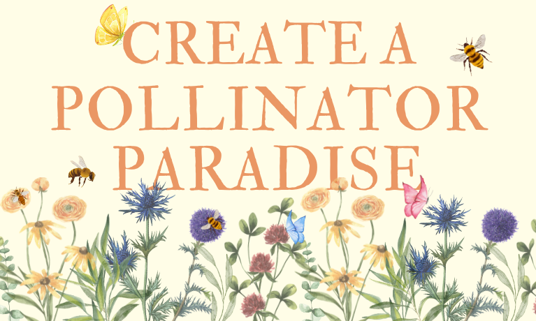 Create a Pollinator Paradise