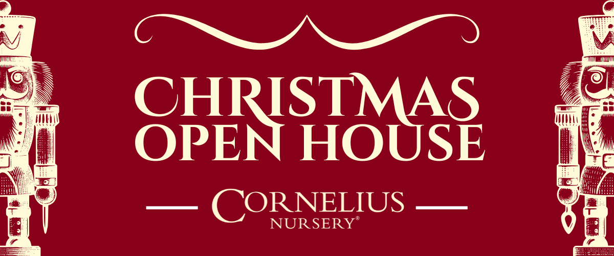Christmas Open House Houston