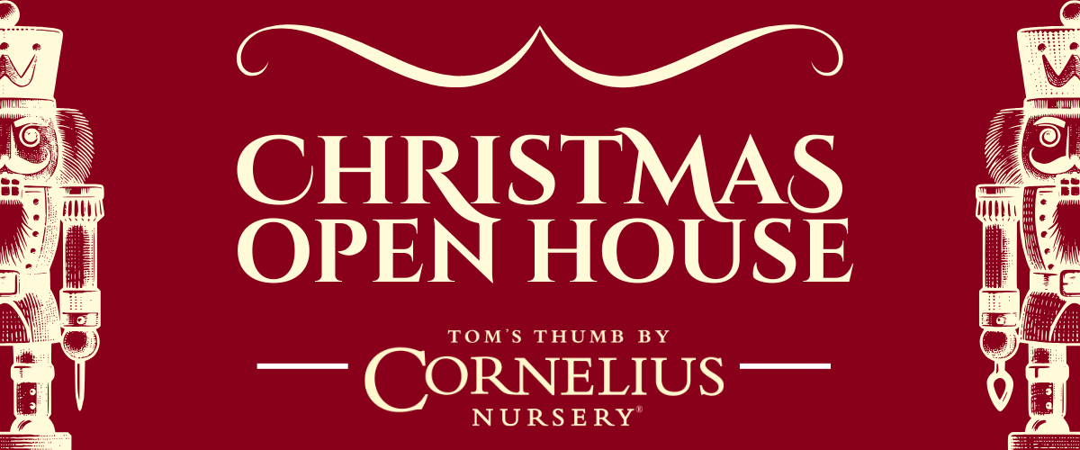 Christmas Open House Galveston