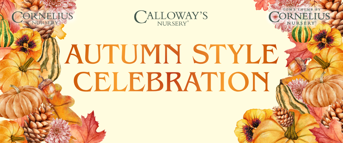 Autumn Style Celebration