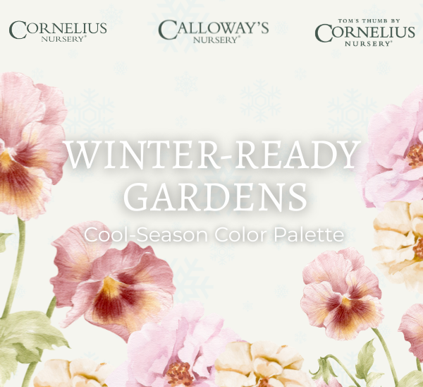 Winter-Ready Gardens: Cool-Season Color Palette
