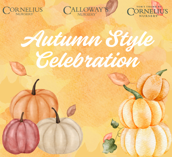 Autumn Style Celebration