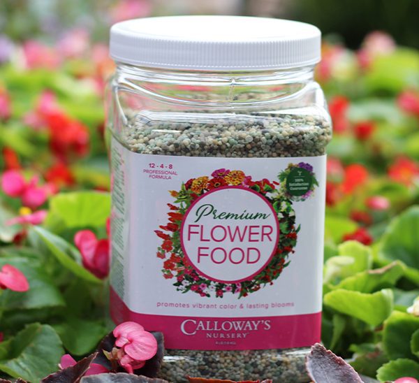 Link to Calloway's Premium Flower Food product page
