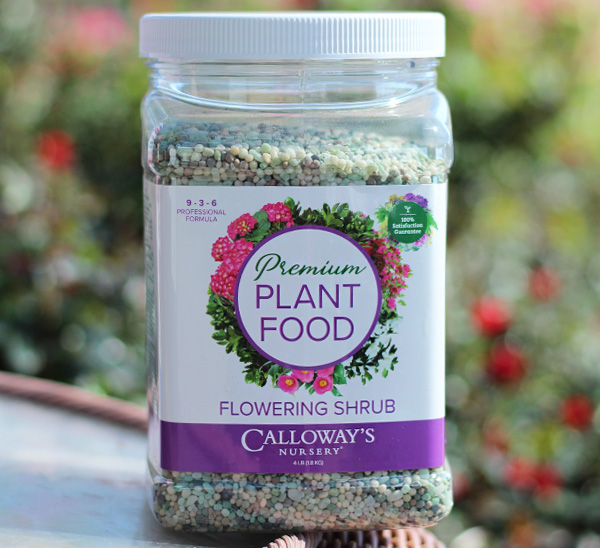 Calloway’s Premium Flowering Shrub Plant Food