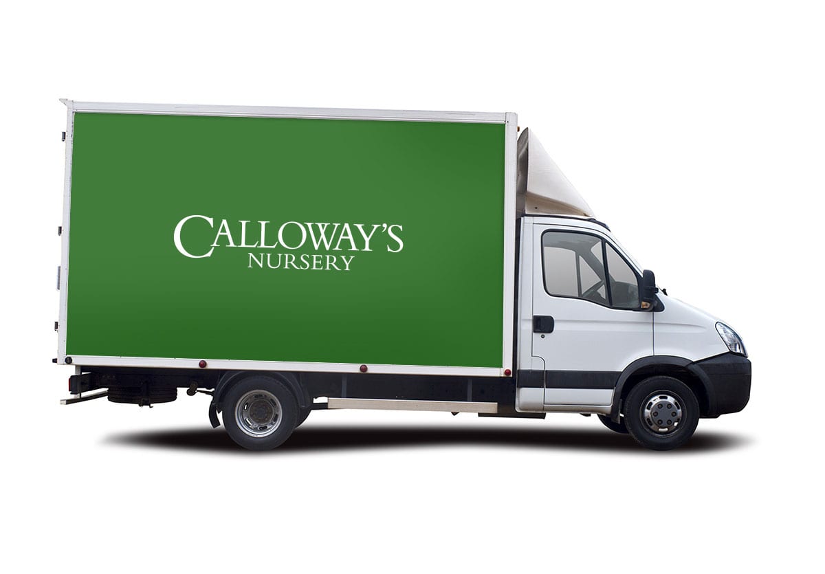 Calloway's Nursery logo on a white truck with a green background